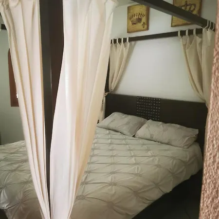 Casa Vida Feliz